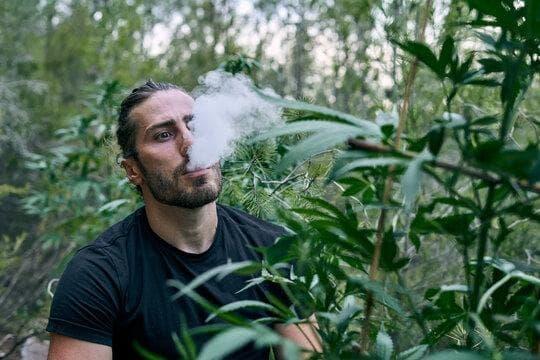 Cómo abordar IBvape E Cigs en campañas escolares y diseñar actividades educativas cigarrillos electrónicos efectivas para jóvenes